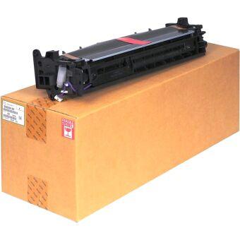 Ricoh D2020127