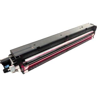 Ricoh D0BM3002